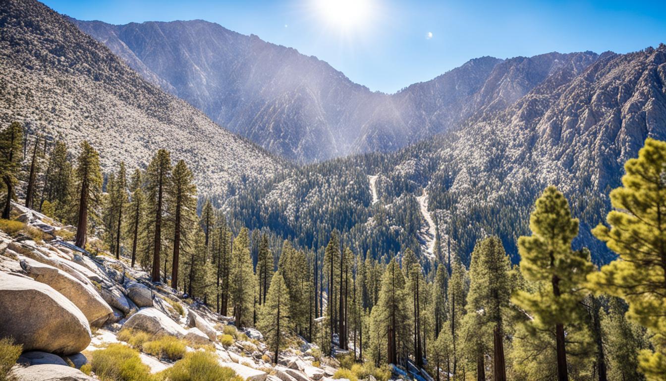 Mt. San Jacinto State Park and Wilderness