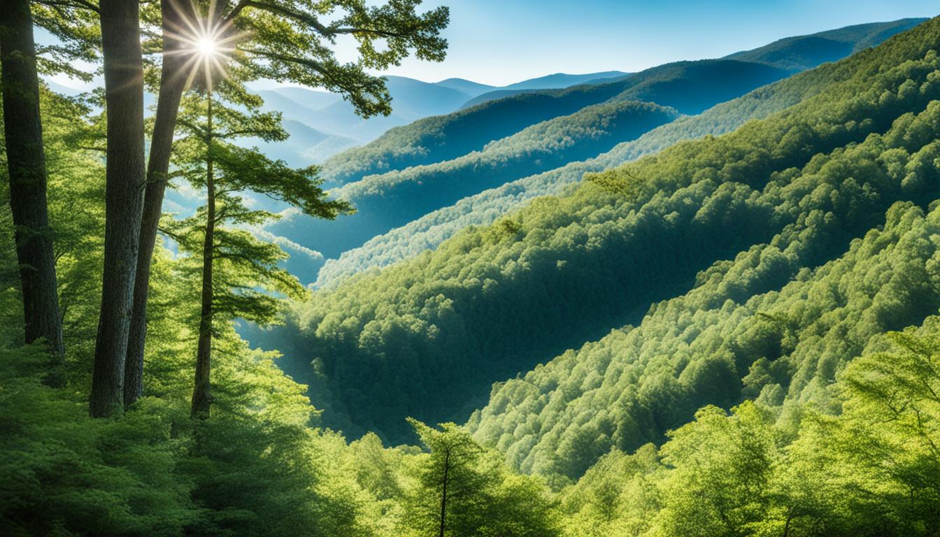 Pisgah National Forest landscape