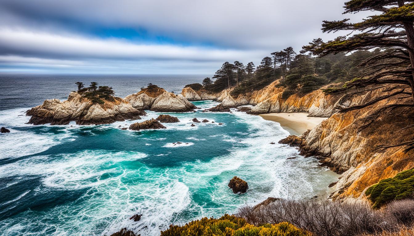 Point Lobos State Natural Reserve