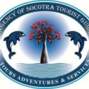 Socotra Travel Guide