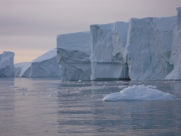 Arctic 2021-11-06