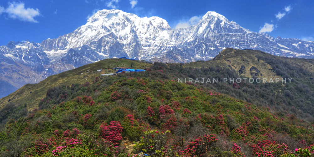 best-treks-in-nepal-in-spring-2023