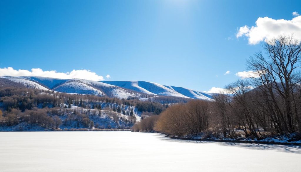 Canberra Winter Landscape