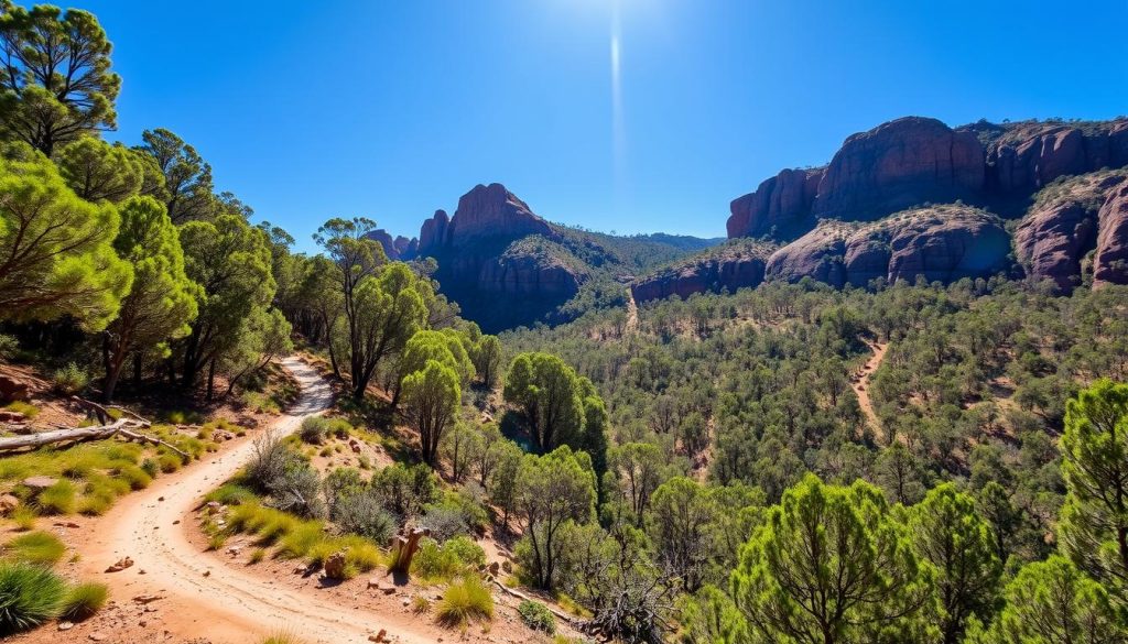 Grampians National Park Hiking Trails