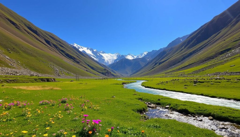 Sonamarg Scenic Landscape in Kashmir