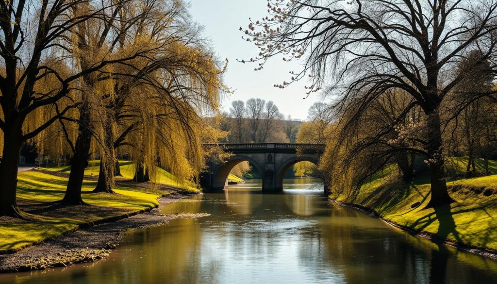 seasonal river view