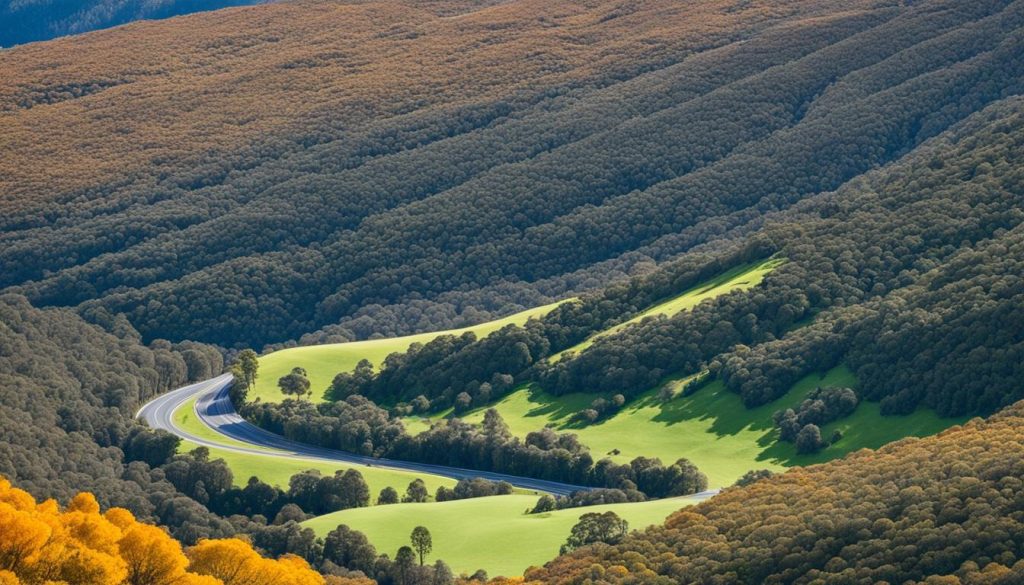 Alpine Way Scenic Drive