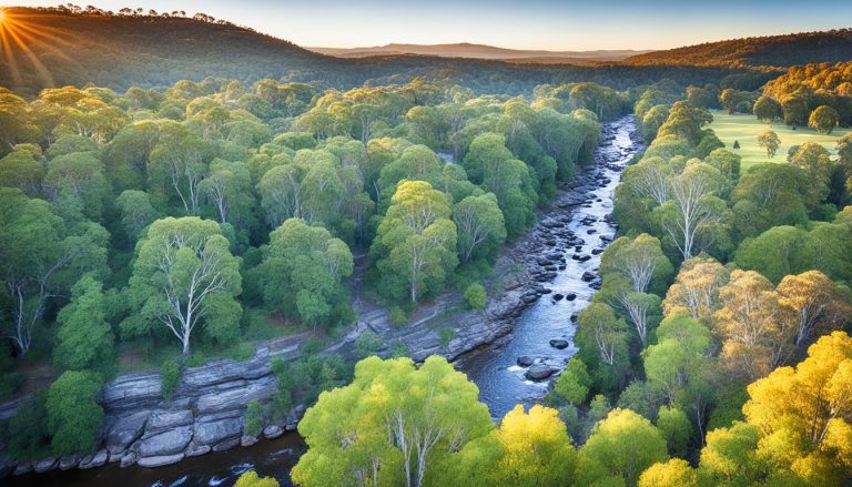 Armidale, New South Wales: Best Things to Do - Top Picks