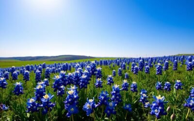 Waco, Texas: Best Things to Do – Top Picks