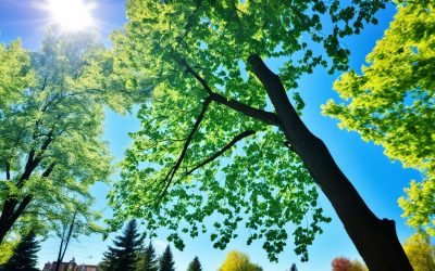Brampton, Ontario: Best Months for a Weather-Savvy Trip