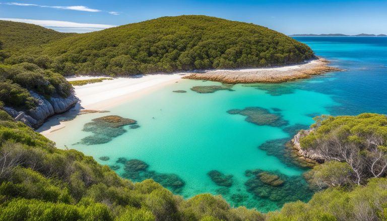 Broulee Island Nature Reserve, New South Wales: Best Things to Do - Top Picks