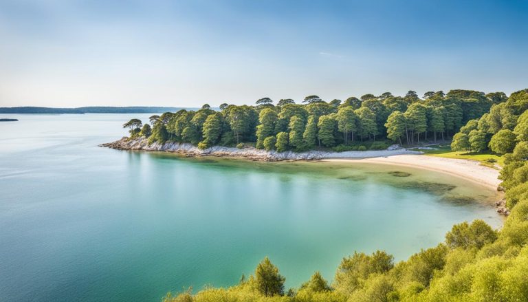 Brownsea Island, England: Best Things to Do - Top Picks