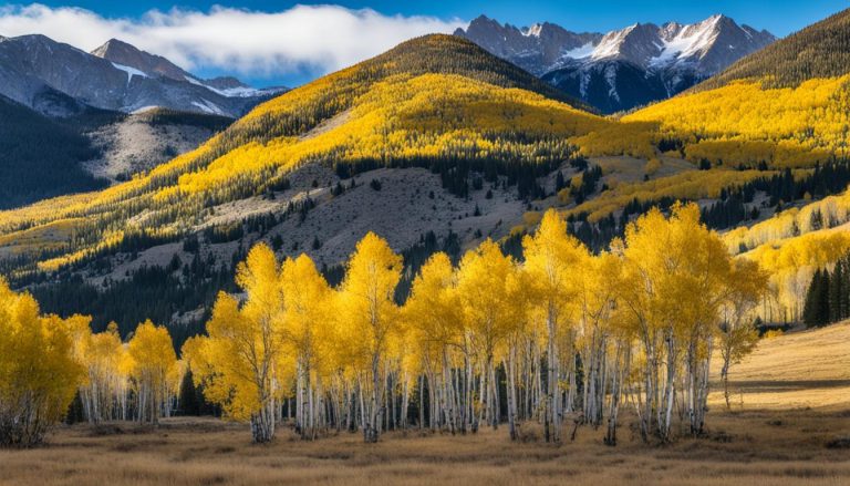 Buena Vista, Colorado: Best Months for a Weather-Savvy Trip