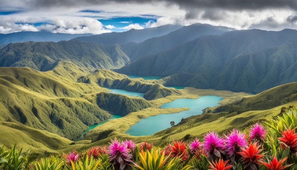 Chingaza National Park landscape