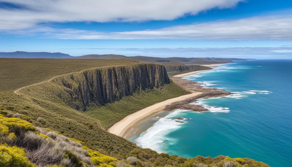 Coast Track Barren Grounds Nature Reserve