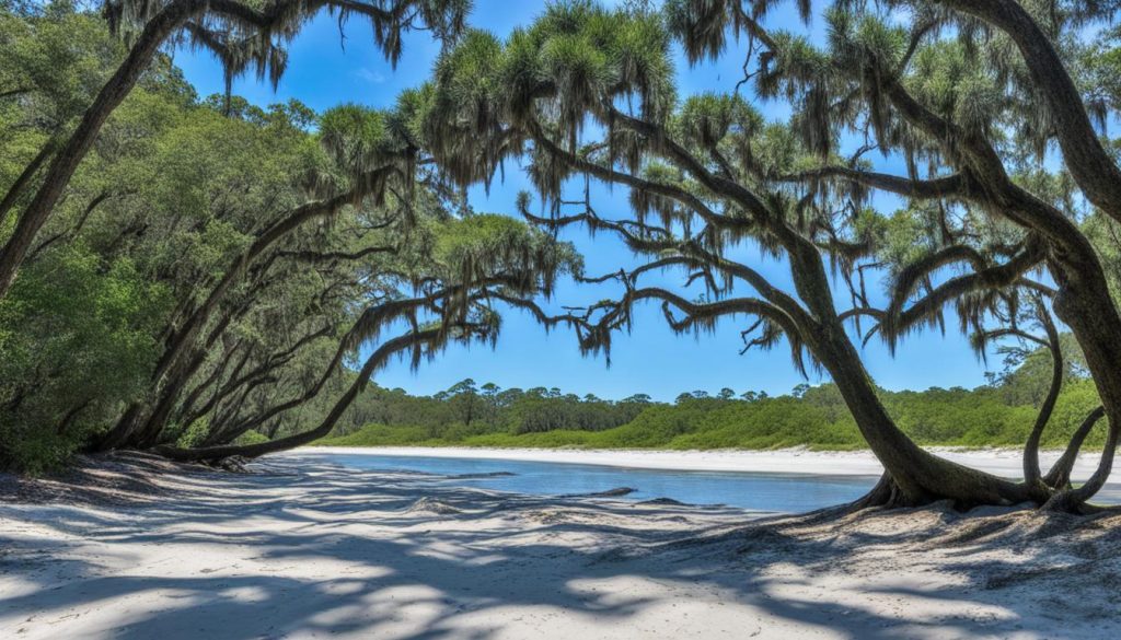 Cumberland Island natural beauty