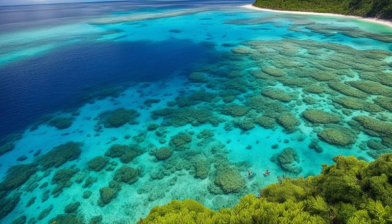 Fitzroy Island National Park, Queensland: Best Things to Do - Top Picks