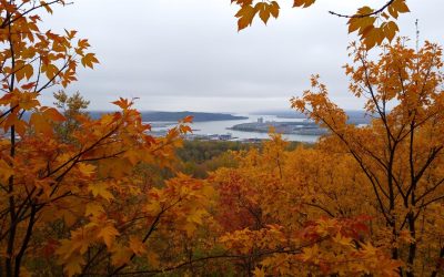 Hamilton, Ontario: Best Months for a Weather-Savvy Trip