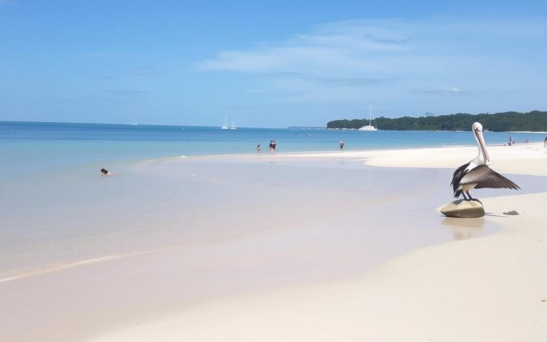 Hervey Bay, Queensland: Best Things to Do - Top Picks
