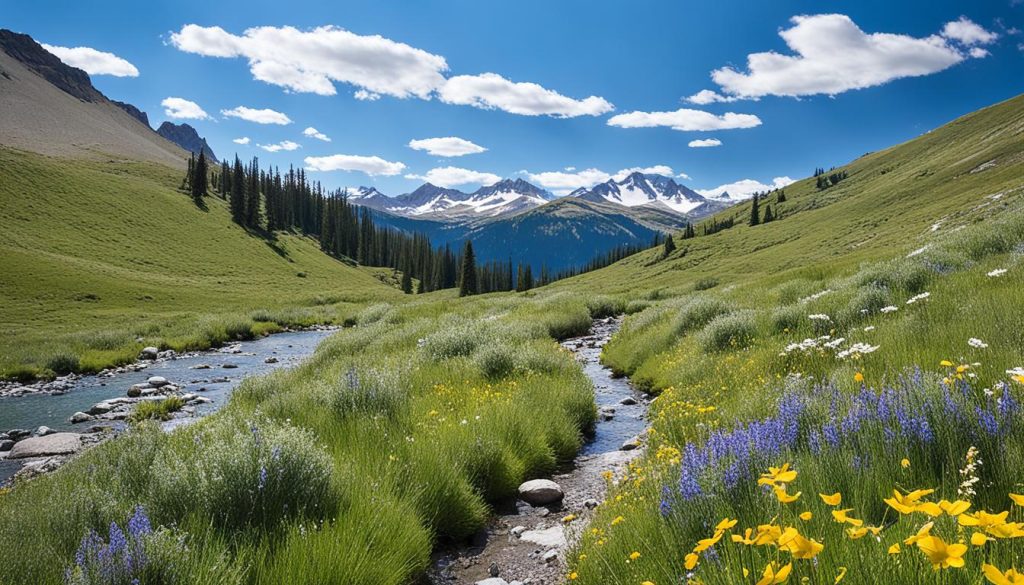 Hiking trails near Pincher Creek