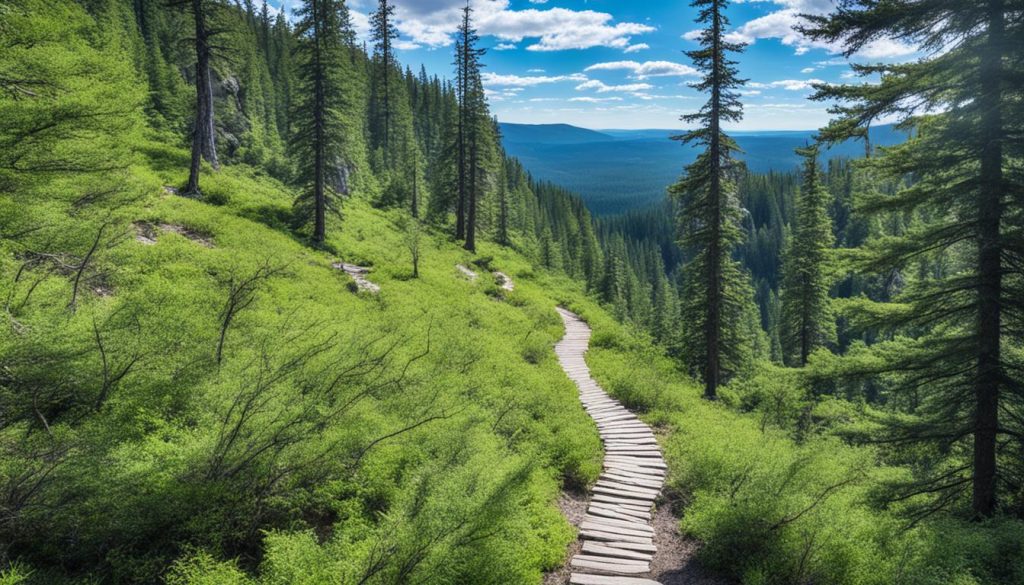 Kananaskis Village trails