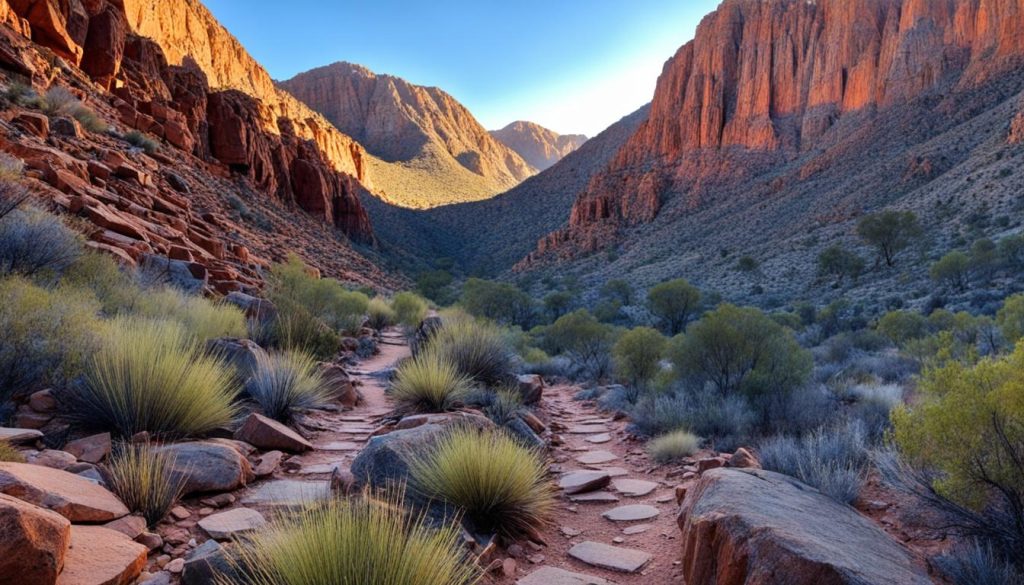 Larapinta Trail