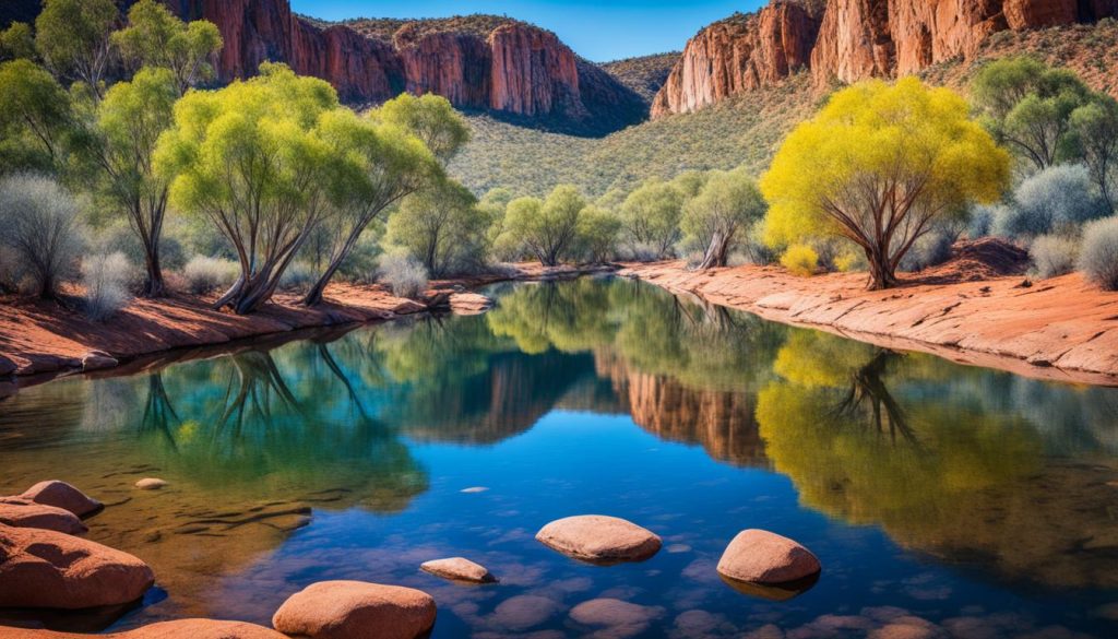 Macdonnell Ranges nature