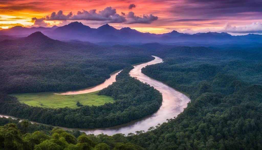 Madidi National Park landscape