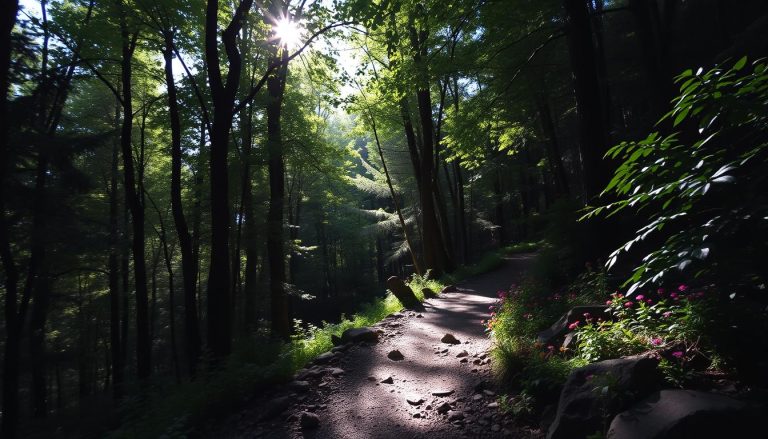 Mark Twain National Forest, Missouri: Best Things to Do - Top Picks