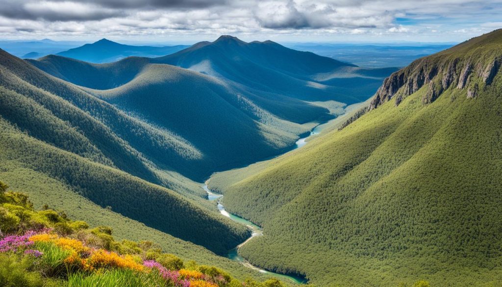 Mount Archer National Park