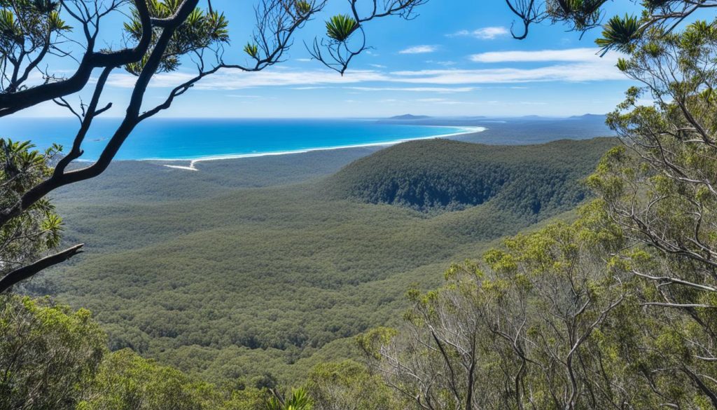 Noosa National Park hiking trails