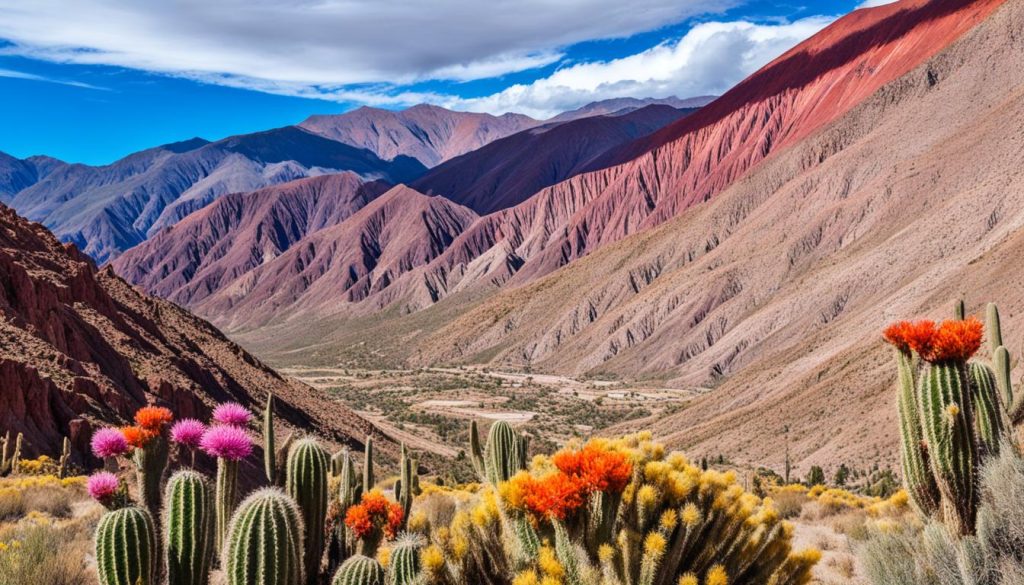 Quebrada de Humahuaca Landscape