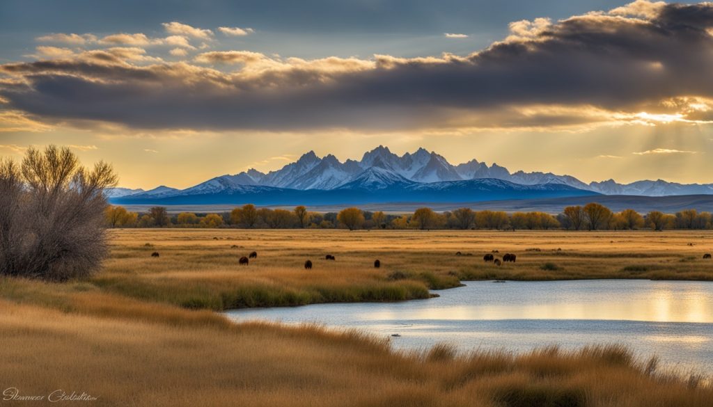 Rocky Mountain Arsenal National Wildlife Refuge