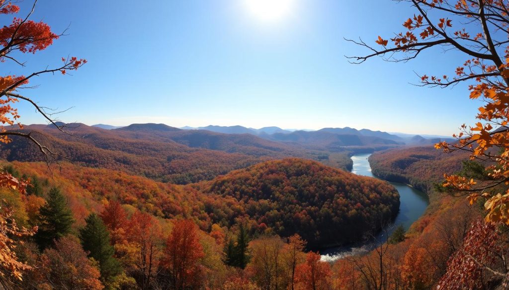 Scenic view of Allegheny National Forest