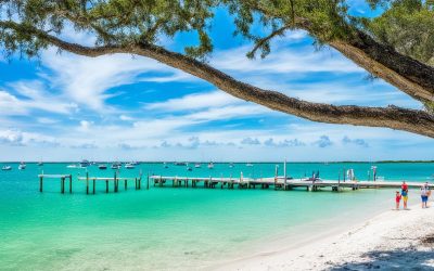 Shell Island, Florida: Best Things to Do – Top Picks