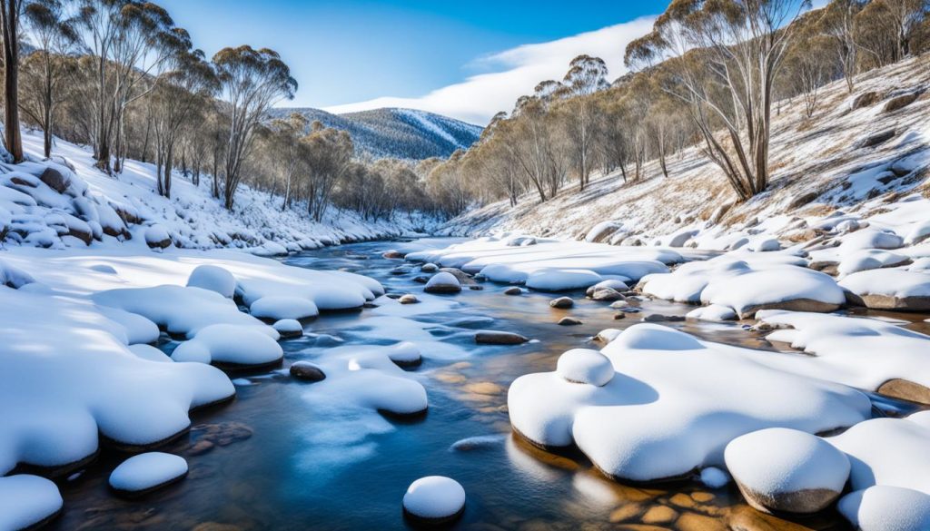 Snowy River