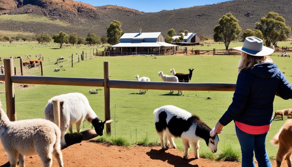 Spinifex Ridge Farm Stay