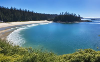 Sunshine Coast, Queensland: Best Things to Do – Top Picks
