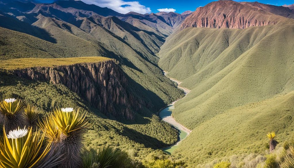 Toro Toro National Park