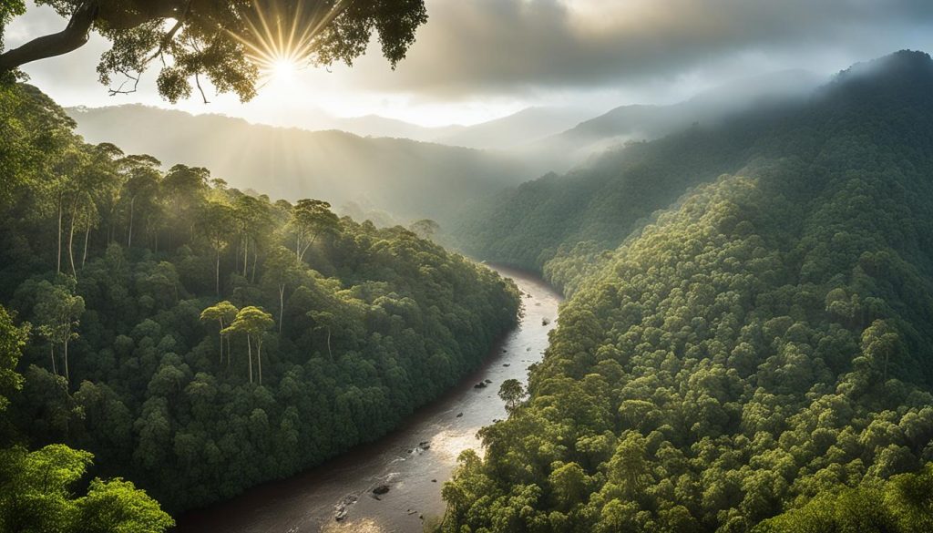 Venezuelan rainforest