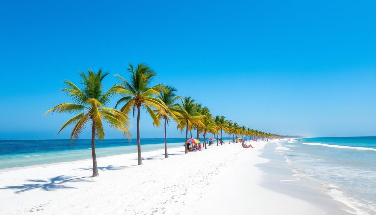 West Palm Beach, Florida: Best Months for a Weather-Savvy Trip