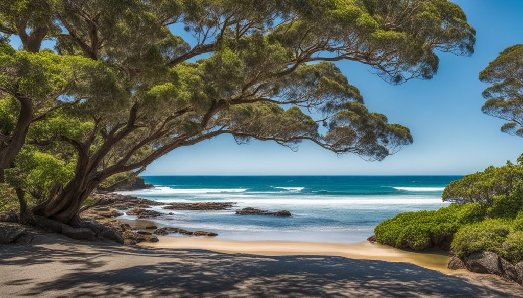 Yamba beaches