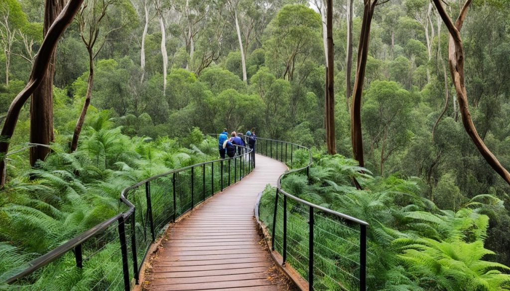 bushwalking trails