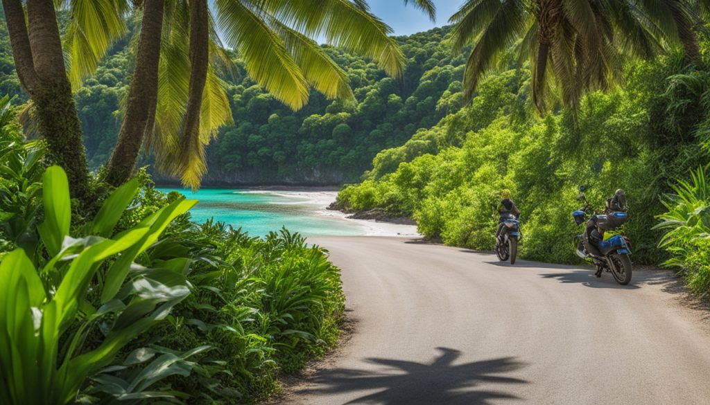 transportation in Niue