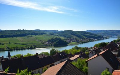 Rüdesheim am Rhein, Germany: Best Things to Do – Top Picks