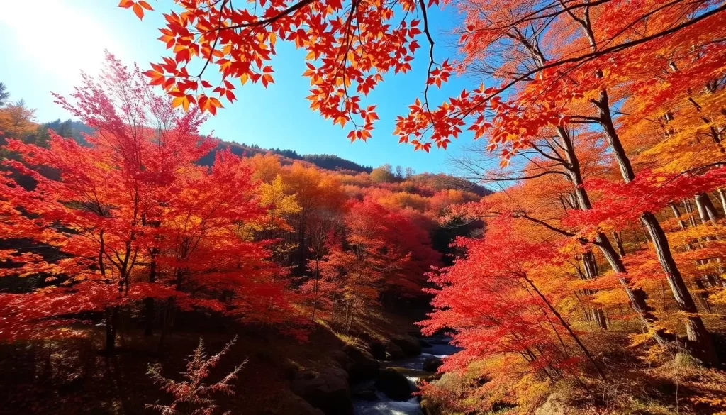 A sun-dappled forest in Tokushima's autumn splendor. Vibrant crimson and golden leaves flutter gracefully against a clear blue sky. A serene mountain stream meanders through the lush undergrowth, its gentle ripples reflecting the vivid foliage. Warm, soft lighting bathes the scene, creating a tranquil, inviting atmosphere. Capture the beauty of this idyllic autumnal landscape, with attention to detail in the natural textures and hues. Showcase the breathtaking colors and peaceful ambiance that embody the essence of autumn in Tokushima.