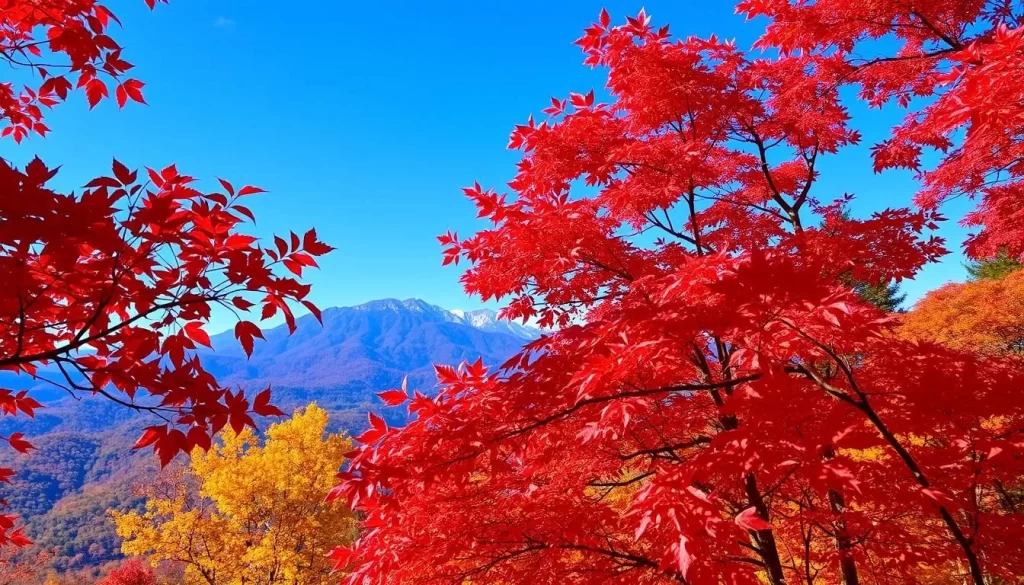 Image of Gunma's autumn foliage