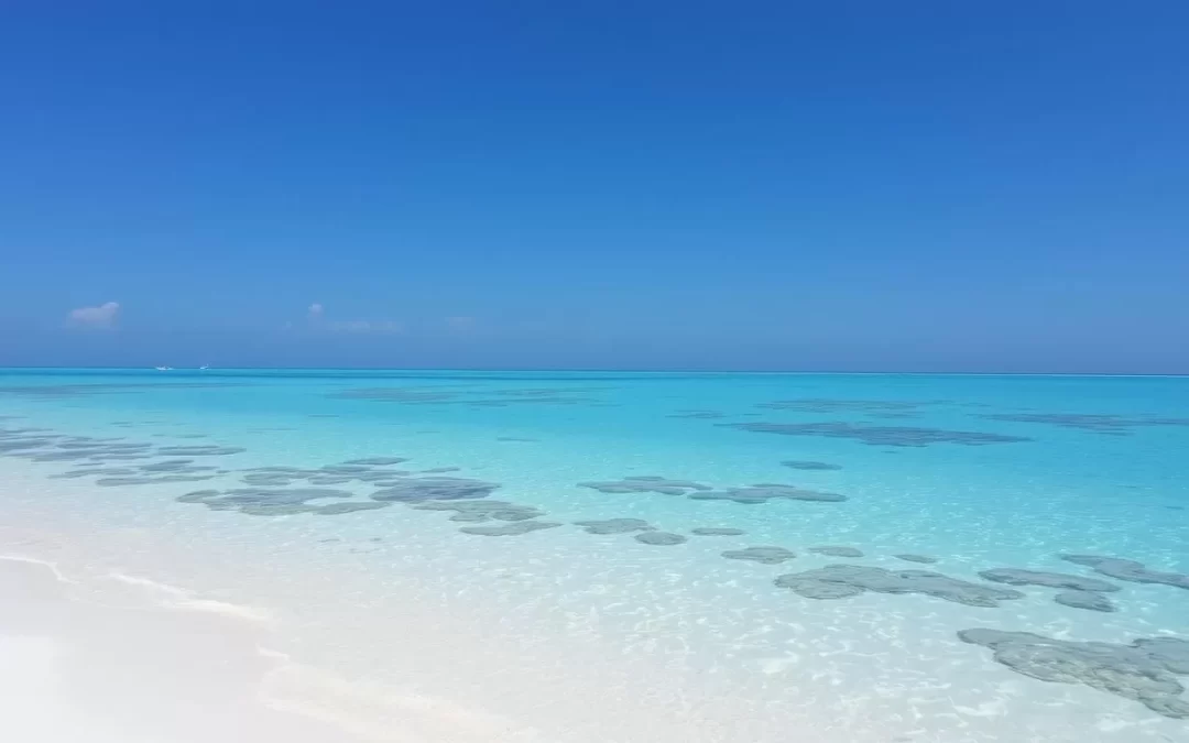 Imagine pristine white sand beaches and crystal-clear waters perfect for swimming, snorkeling, and diving.