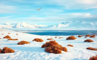 Iqalugaarjuup Nunanga Territorial Park, Nunavut: Best Things to Do – Top Picks