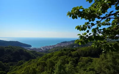 Ōita Prefecture, Japan: Best Months for a Weather-Savvy Trip